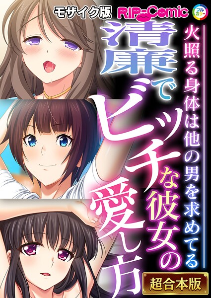 清廉でビッチな彼女の愛し方 〜火照る身体は他の男を求めてる〜【超合本シリーズ】 モザイク版｜BENETTY❤フルカラー