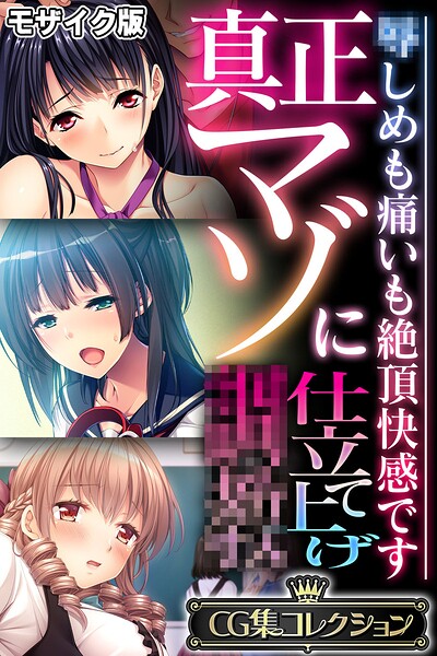真正マゾに仕立て上げ●● 〜●しめも痛いも絶頂快感です〜【CG集コレクション】 モザイク版｜大人のSEXY絵本❤フルカラー